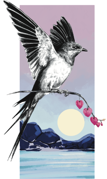 Slider Image 3