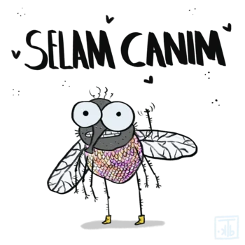 Slider Image 3