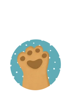 Slider Image 3