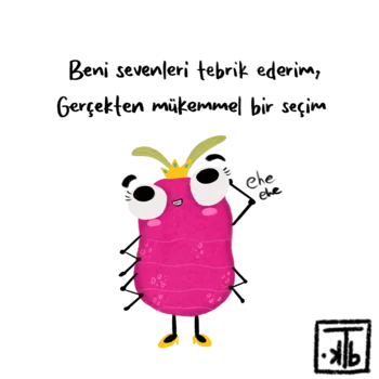 Slider Image 3