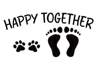 Slider Image 3
