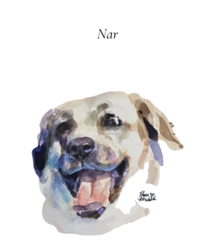 Slider Image 2