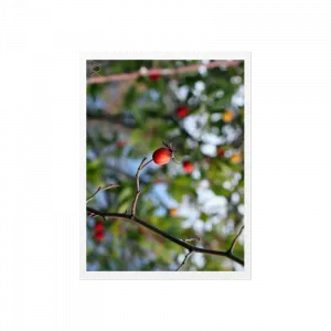 purchasable design image