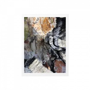 purchasable design image