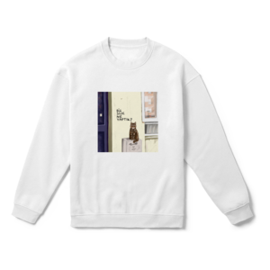 Biz size ne yaptık? Oversize Sweatshirt Ürün Görseli