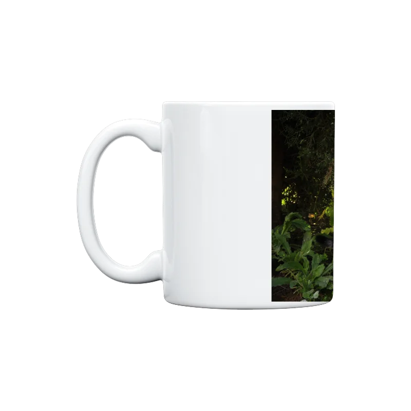 Slider Image 1