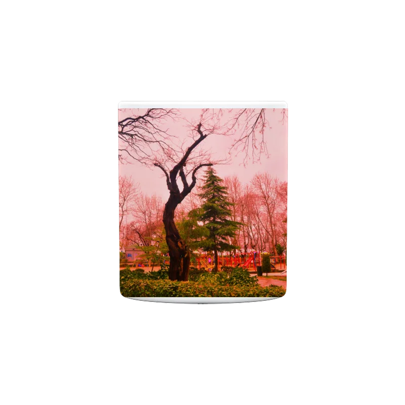 Slider Image 2
