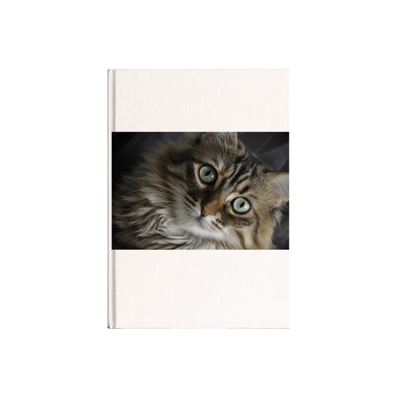 Slider Image 1